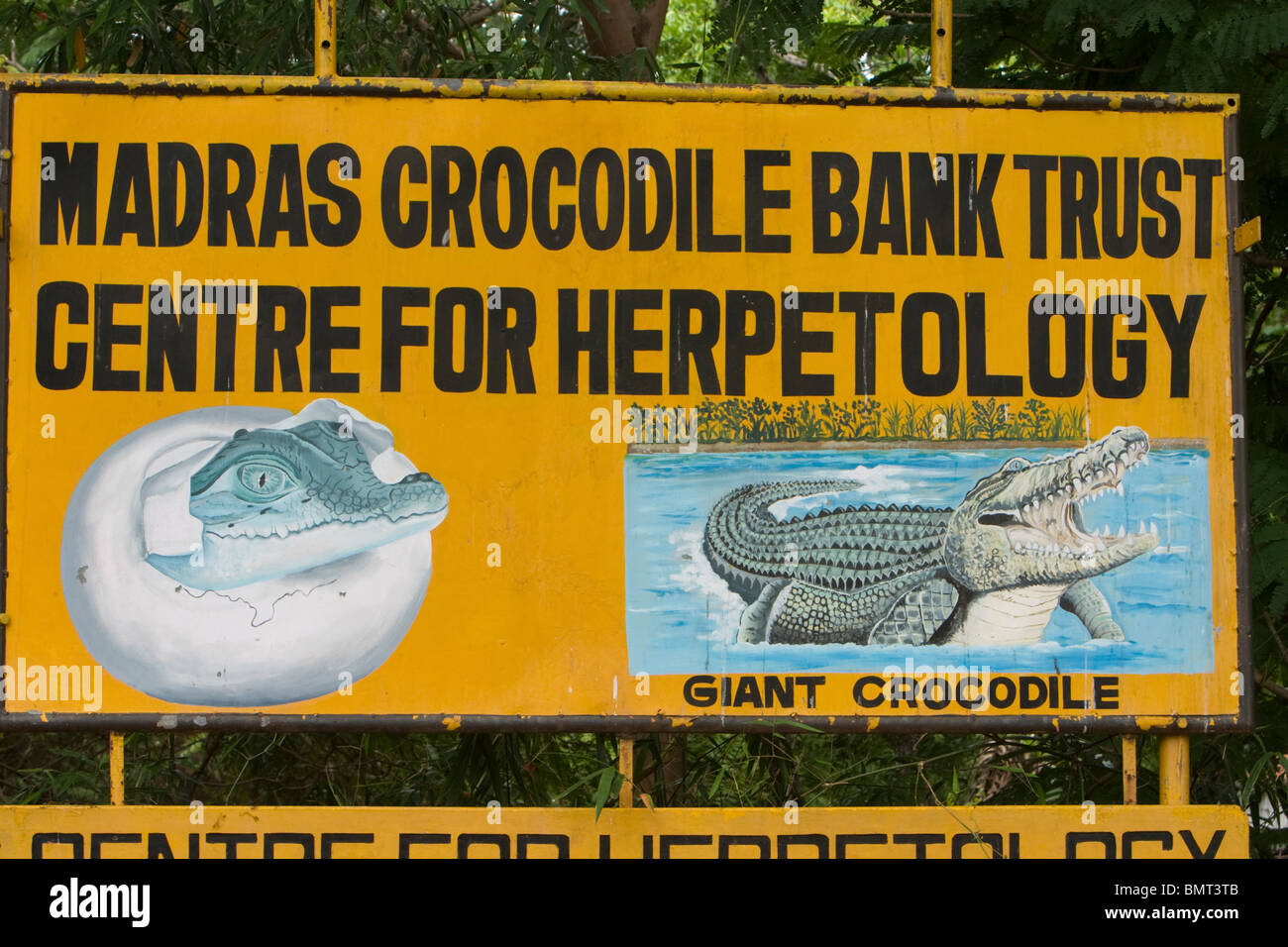 Madras Crocodile Bank Trust (Centre for Herpetology) in Chennai, Tamil Nadu, India. Stock Photo