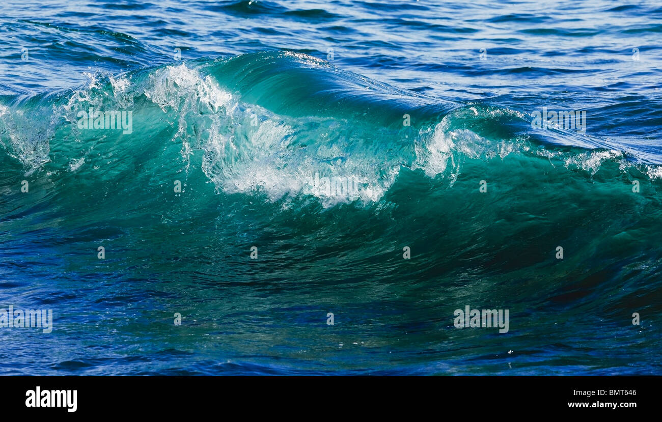 Hawaii, United States Of America; Breaking Water Forms Smooth Curl In