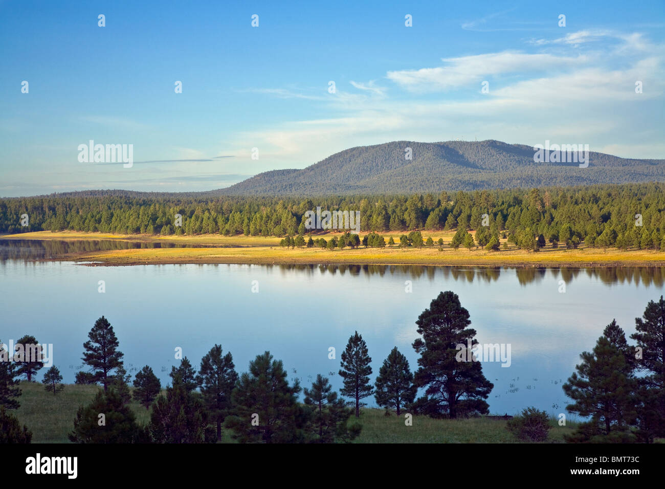 Mormon Mountain and Upper Lake Mary in Coconino National Forest, south