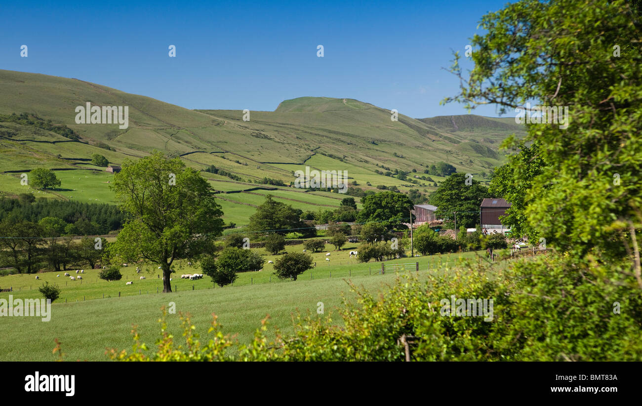 UK, England, Derbyshire, Vale of Edale, sheep grazing on farmland below Hollins Cross Stock Photo