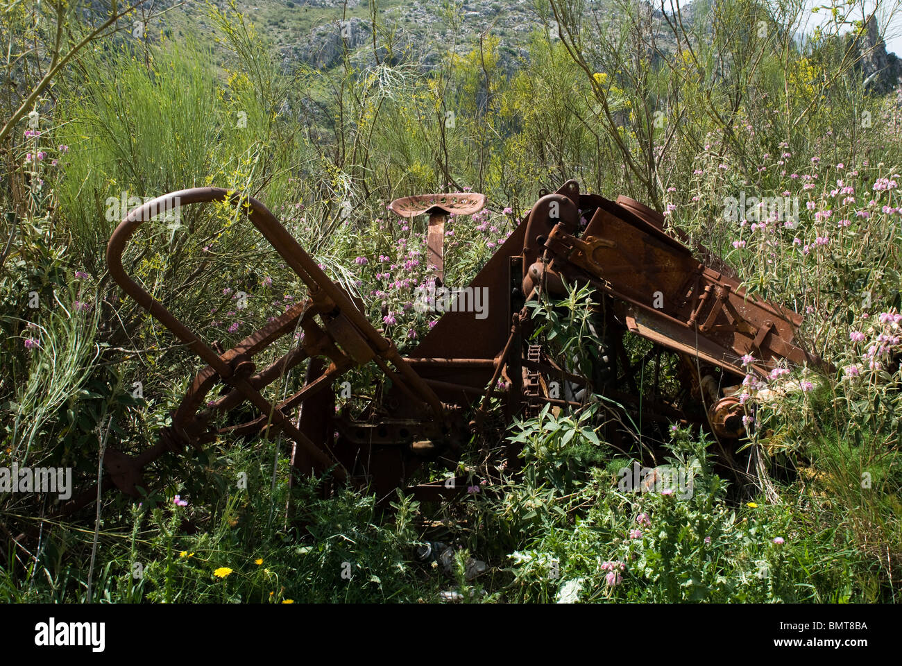 Abandoned old farm machinery in Serrania de Ronda, Andalucia, Spain Stock Photo