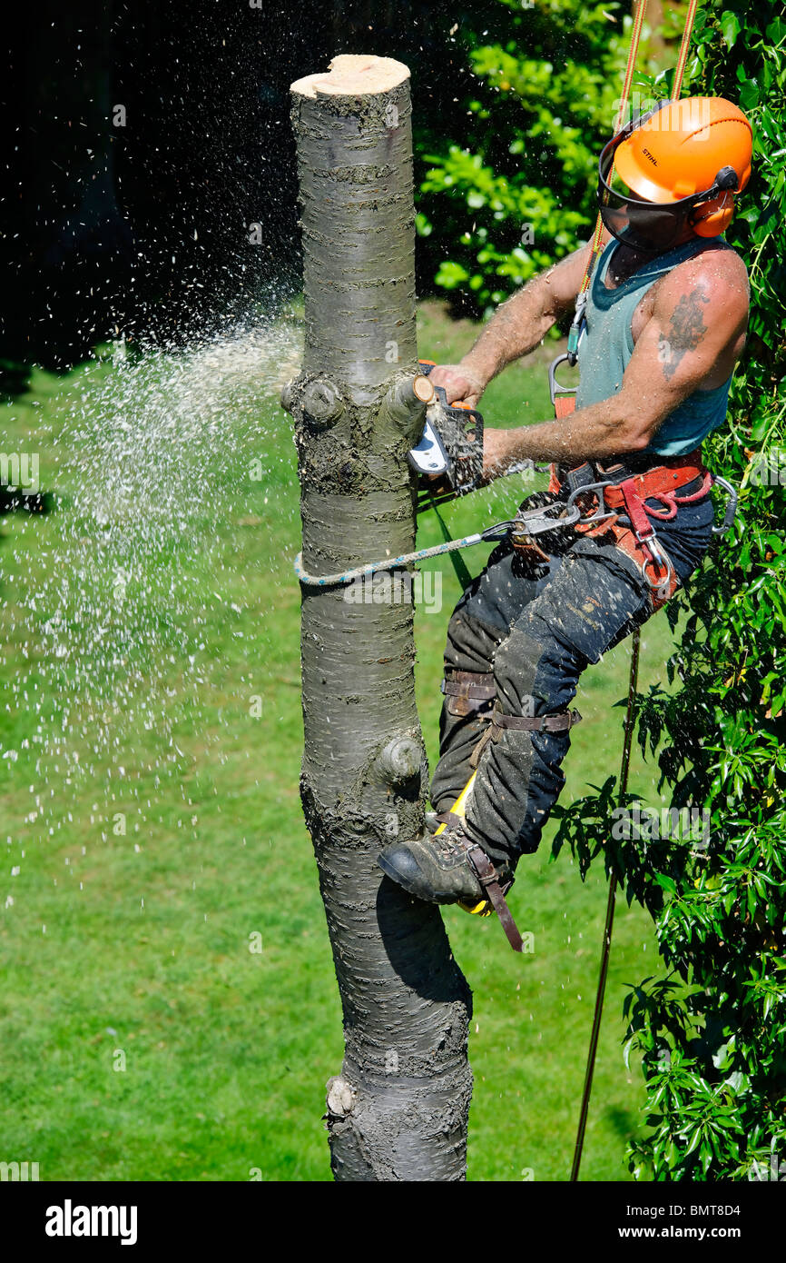 Chainsaw safety hi-res stock photography and images - Page 46 - Alamy