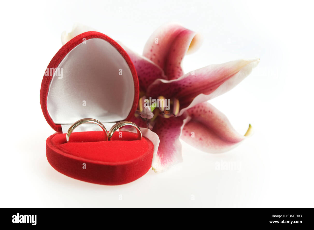 Matching rings in a heart shapped valvet box and in white background with tiger lily Stock Photo