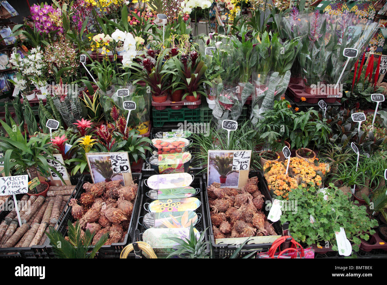 Flower Shop Amsterdam Stock Photo Alamy