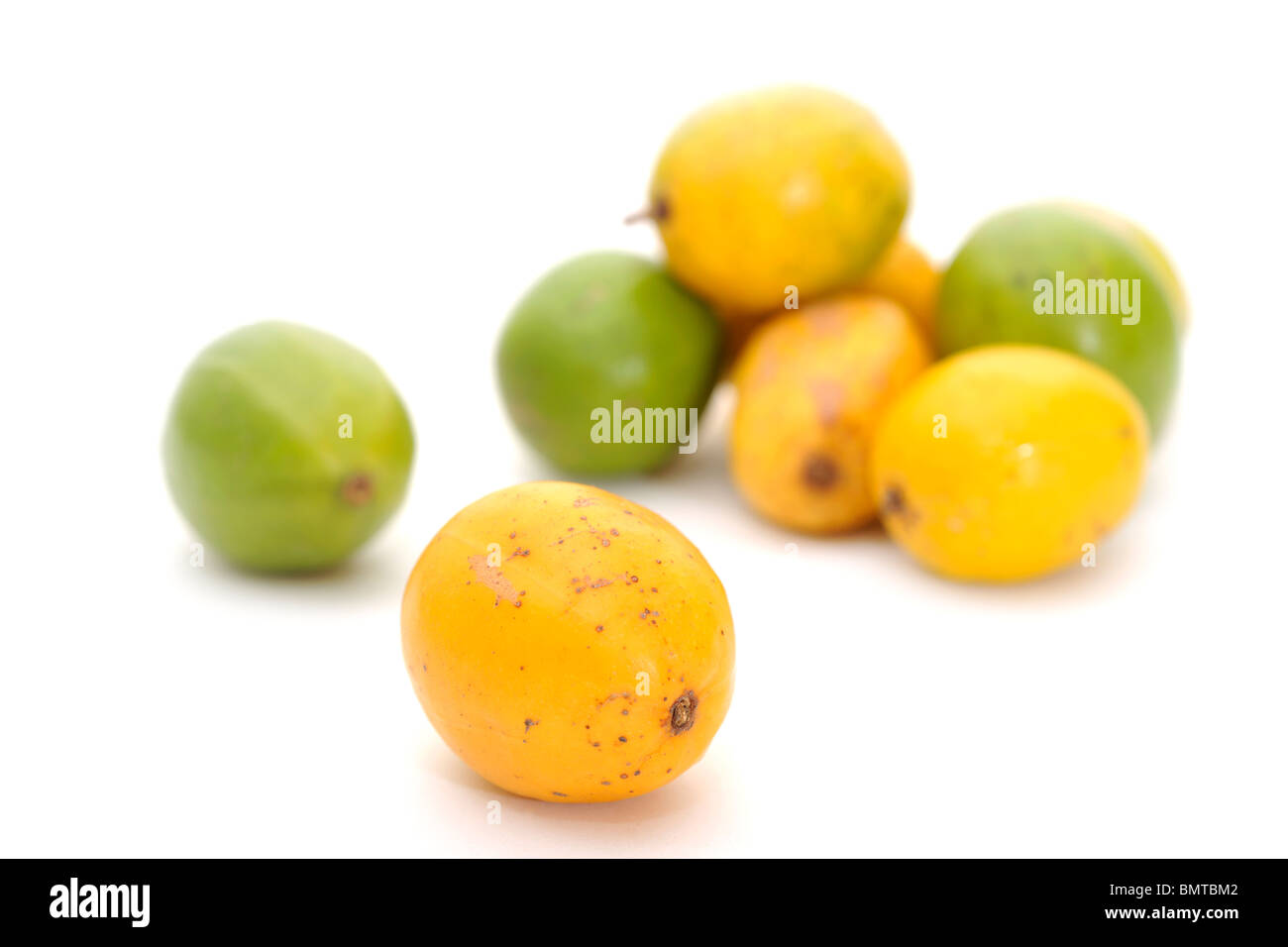 Umbu fruit (Spondias tuberosa) , Brazil plum Stock Photo