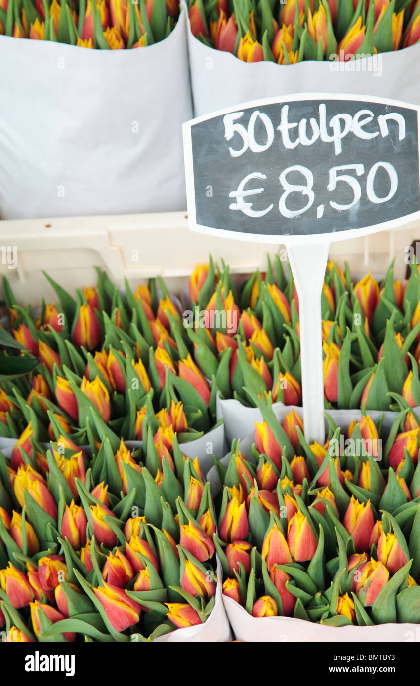 Tulips for Sale Stock Photo