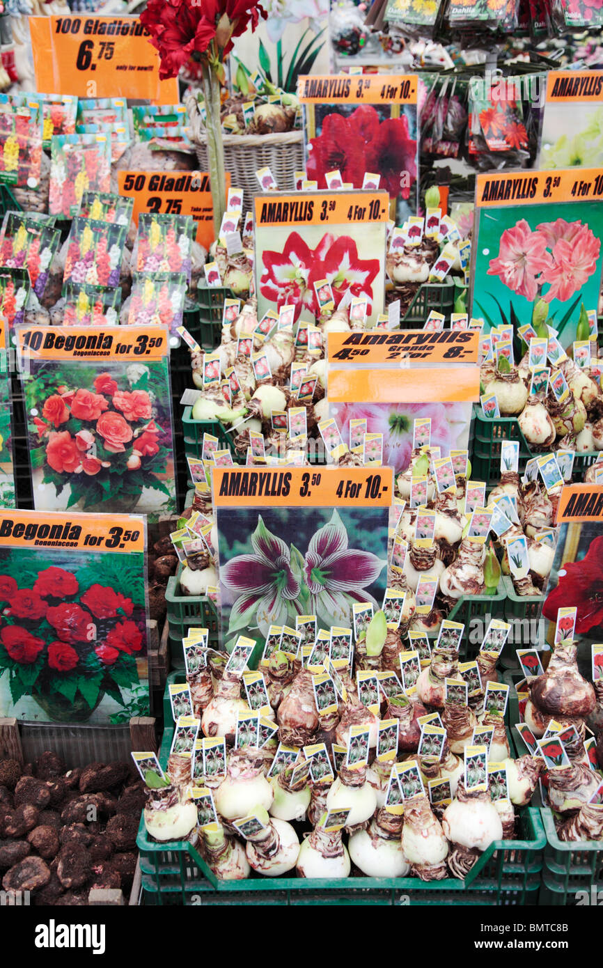 Flower Shop Amsterdam Stock Photo Alamy