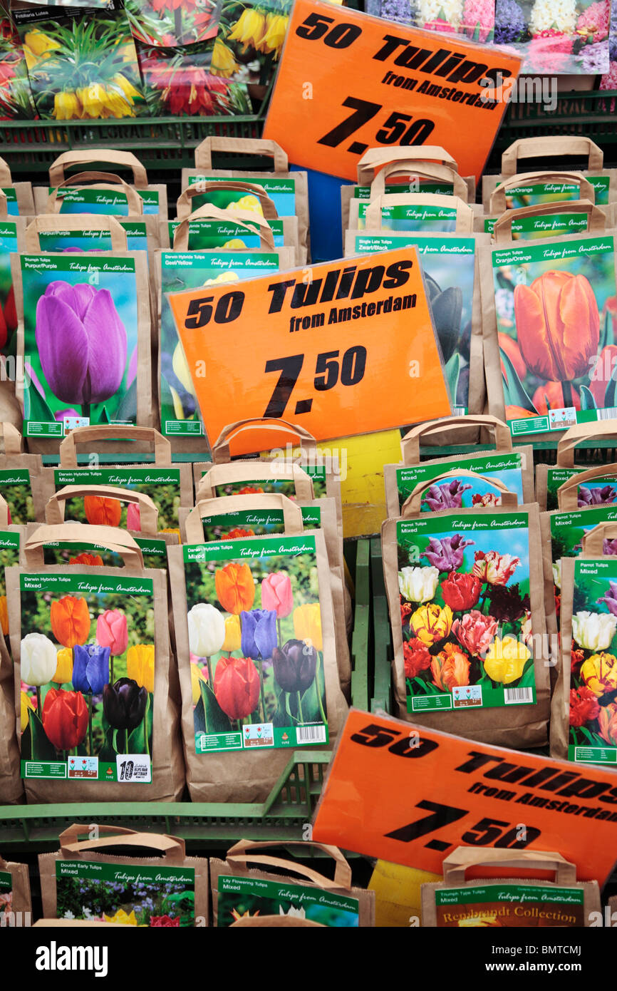 Flower Shop Amsterdam Stock Photo Alamy
