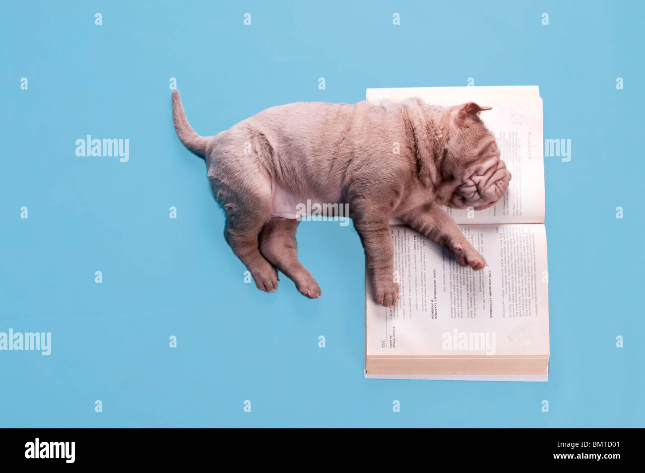Sleep study hi-res stock photography and images - Page 2 - Alamy