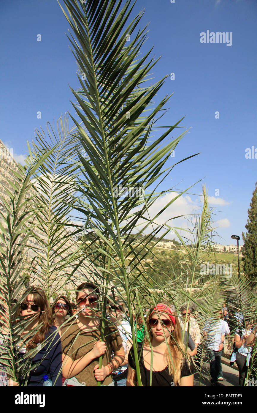 Palm Sunday Jerusalem High Resolution Stock Photography And Images Alamy
