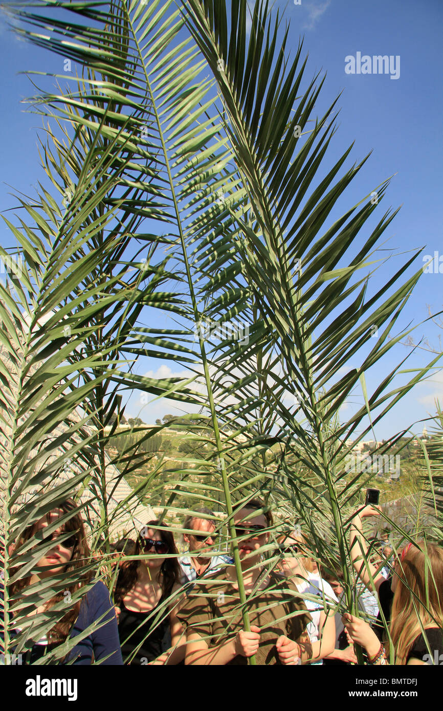 Palm sunday jerusalem hires stock photography and images Alamy