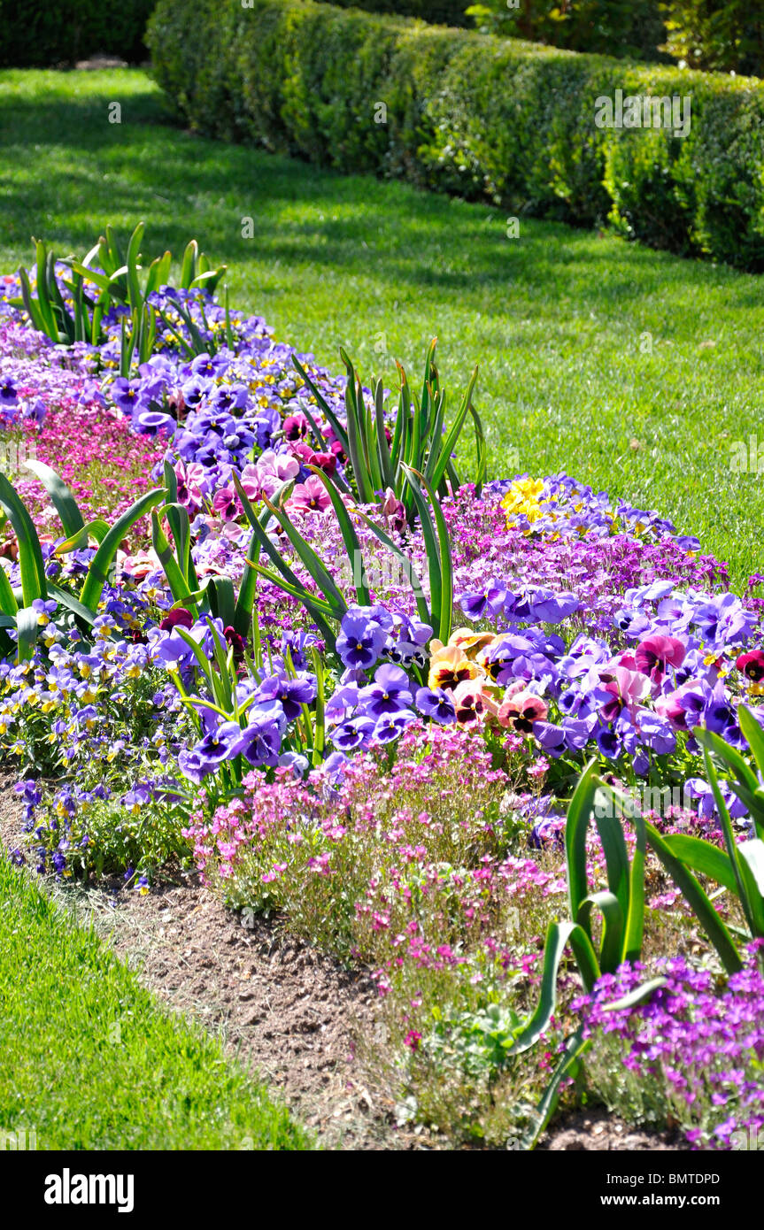 Garden with mixed flowers blooming in spring Stock Photo - Alamy