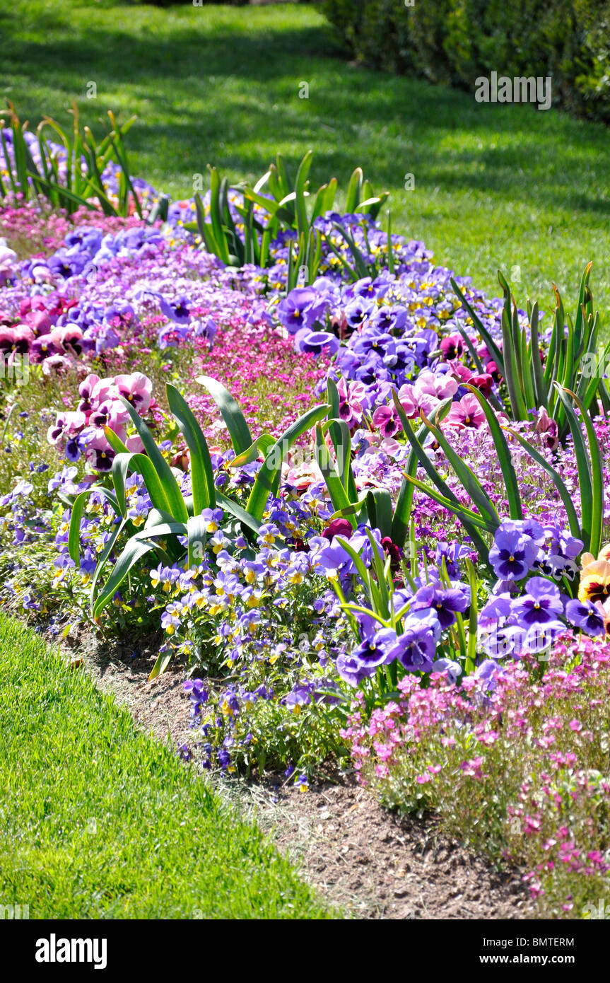 flower garden salt lake city stock photos & flower garden salt lake