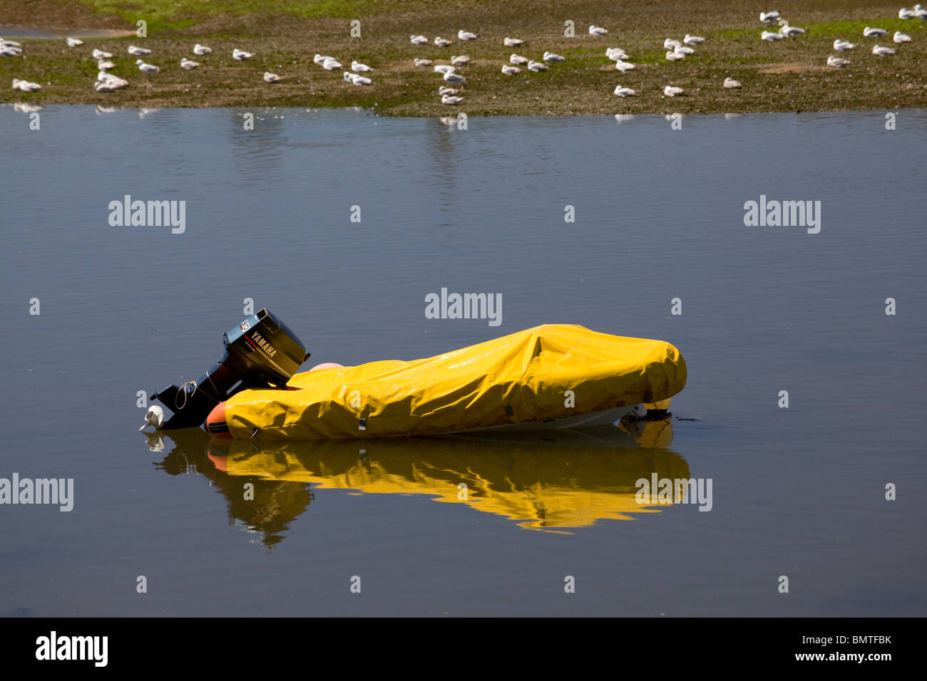Small boat covered with yellow tarpaulin moored in the Axe estuary, Axmouth, Devon Stock Photo