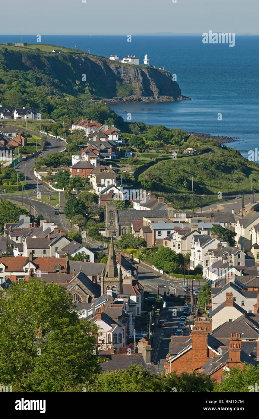 Blackhead whitehead hires stock photography and images Alamy