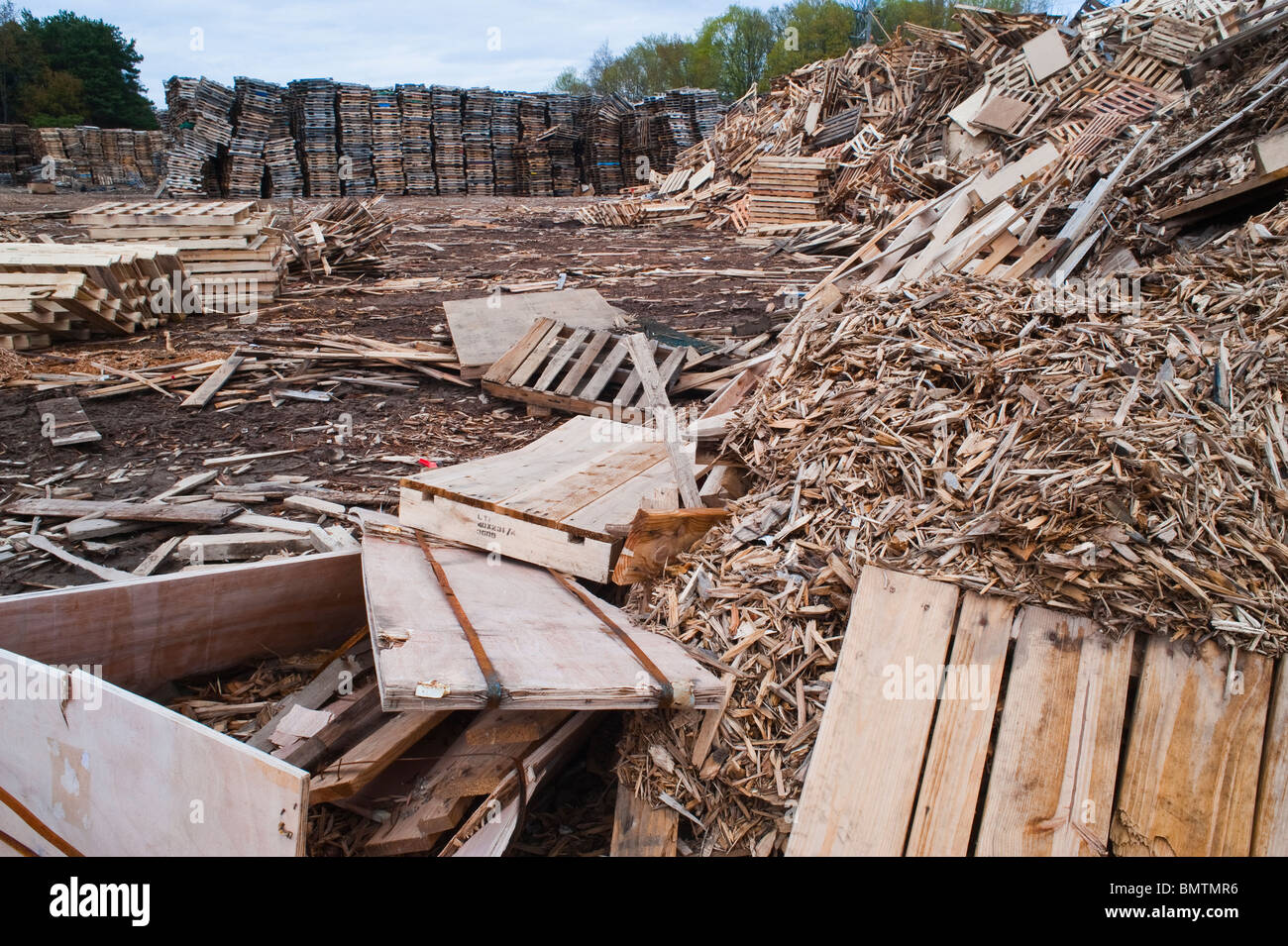 Pallets stacked at a recycling company in Mason County, Michigan, USA