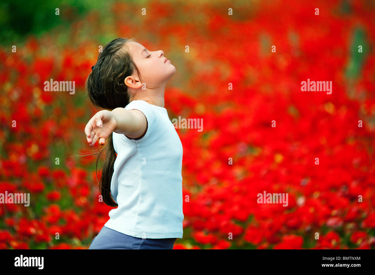 Young Girl with outstretched arms in poppy field Stock Photo