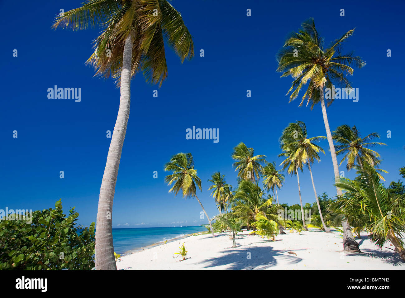 BEACH ON SAONA ISLAND PARQUE NATIONAL DEL ESTE DOMINICAN REPUBLIC CARIBBEAN Stock Photo