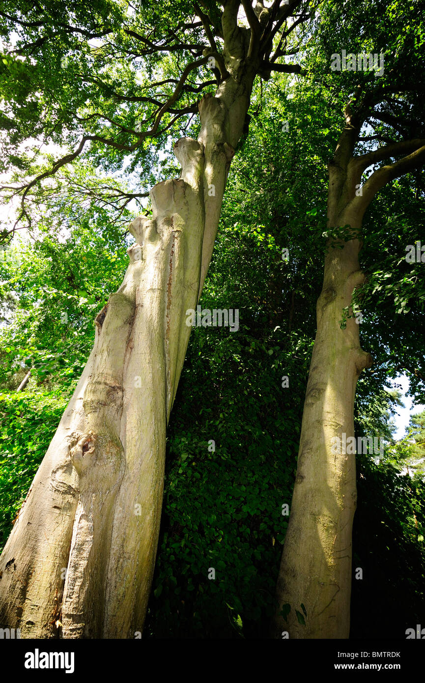 Growth spiral hires stock photography and images Alamy