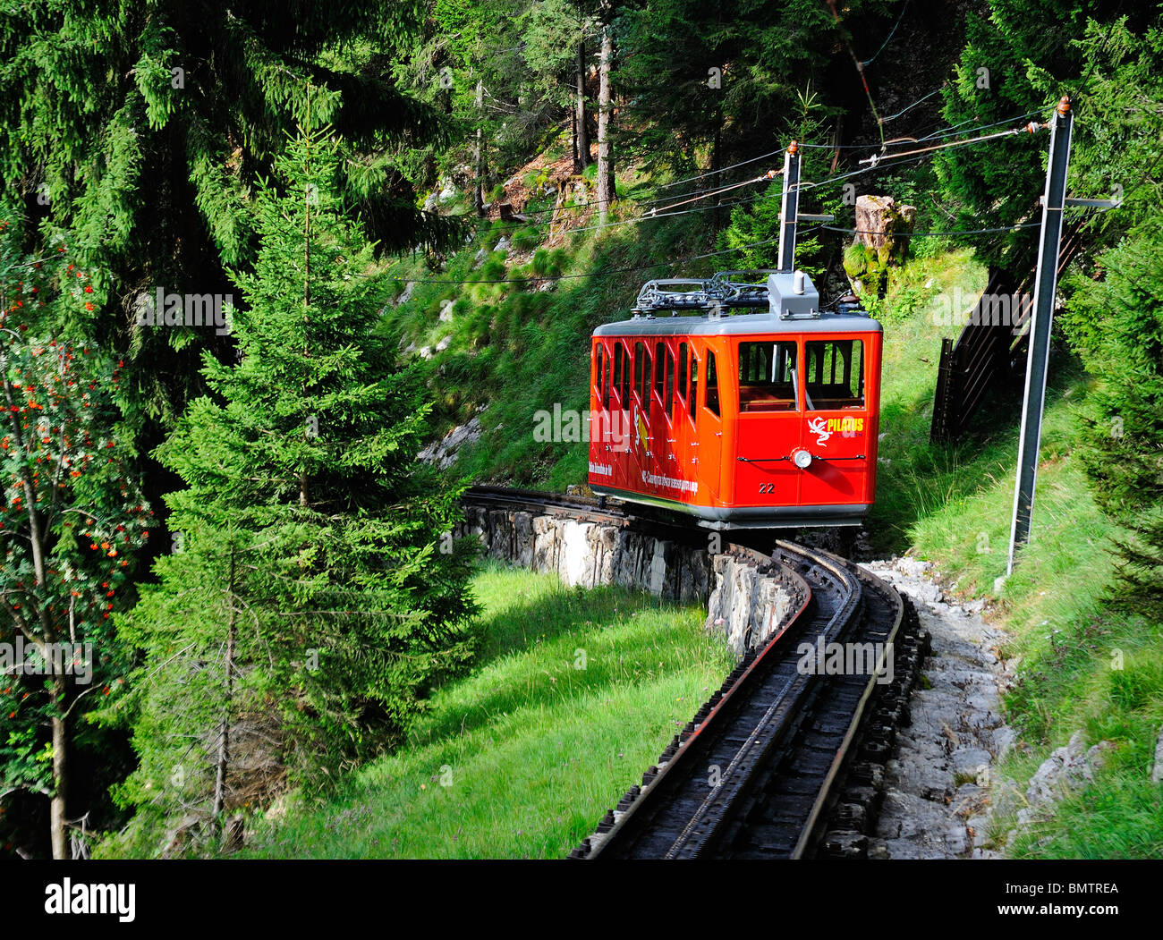 The rack and pinion railway up Mount Pilatus, central Switzerland, with a train passing through pine woods. Stock Photo