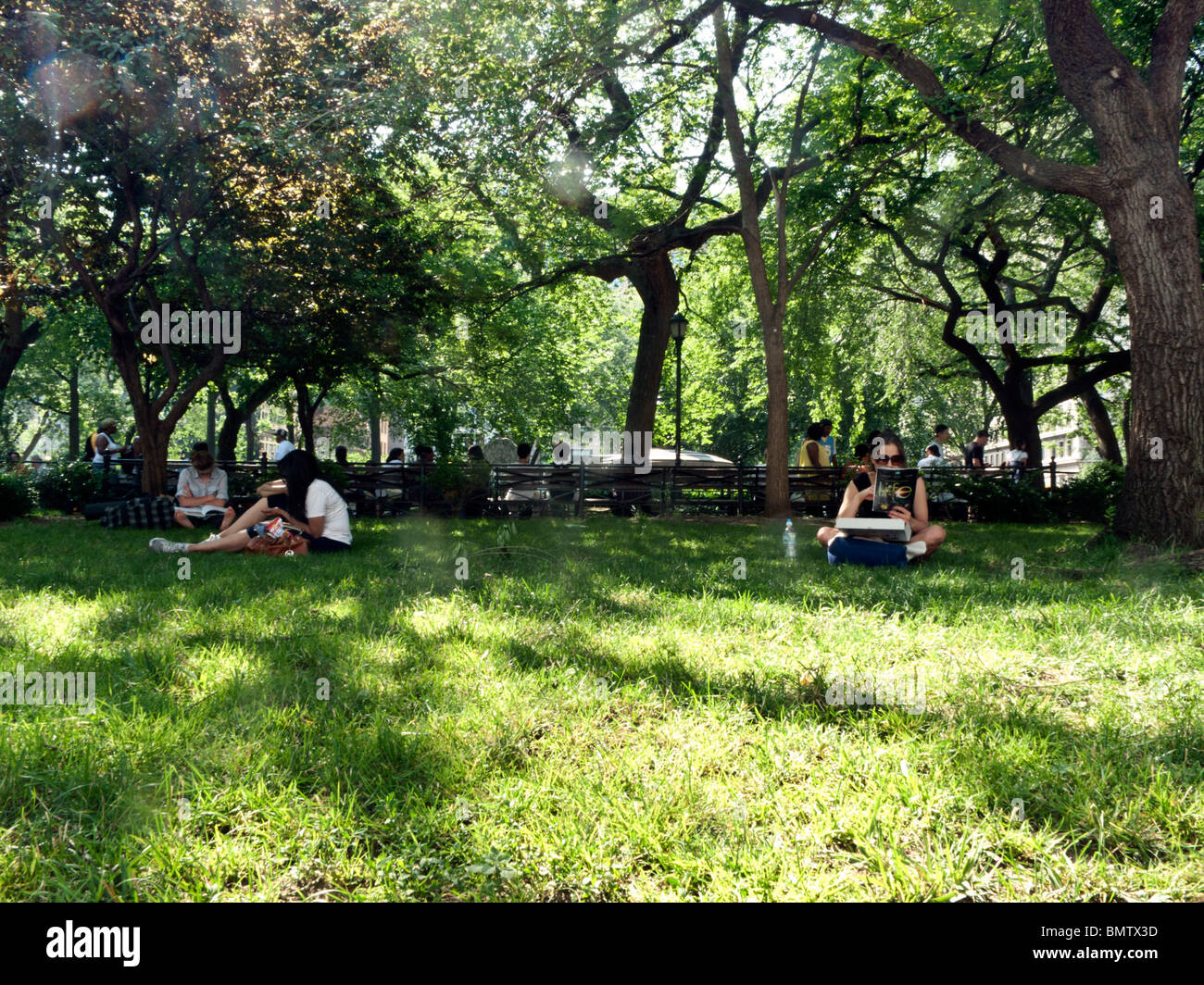 people enjoy sitting on the grass &amp; on benches under leafy 
