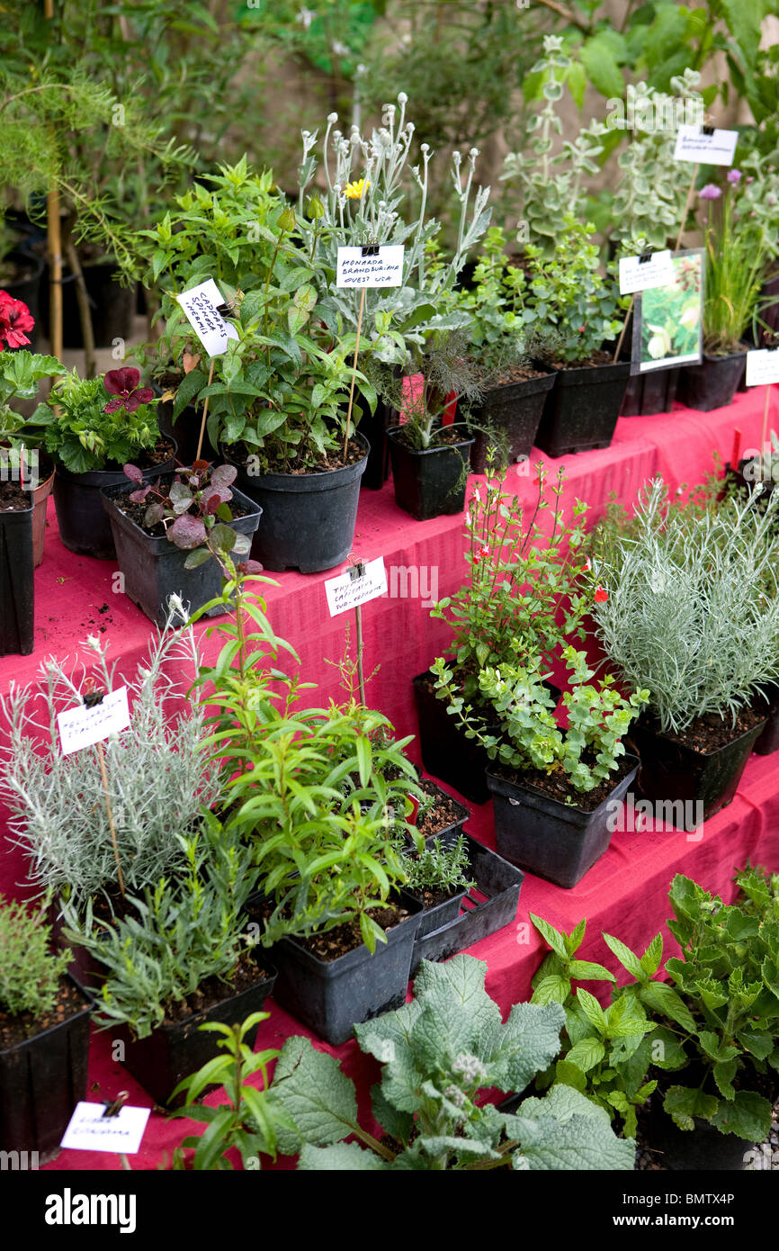 Selling flowers hi-res stock photography and images - Alamy