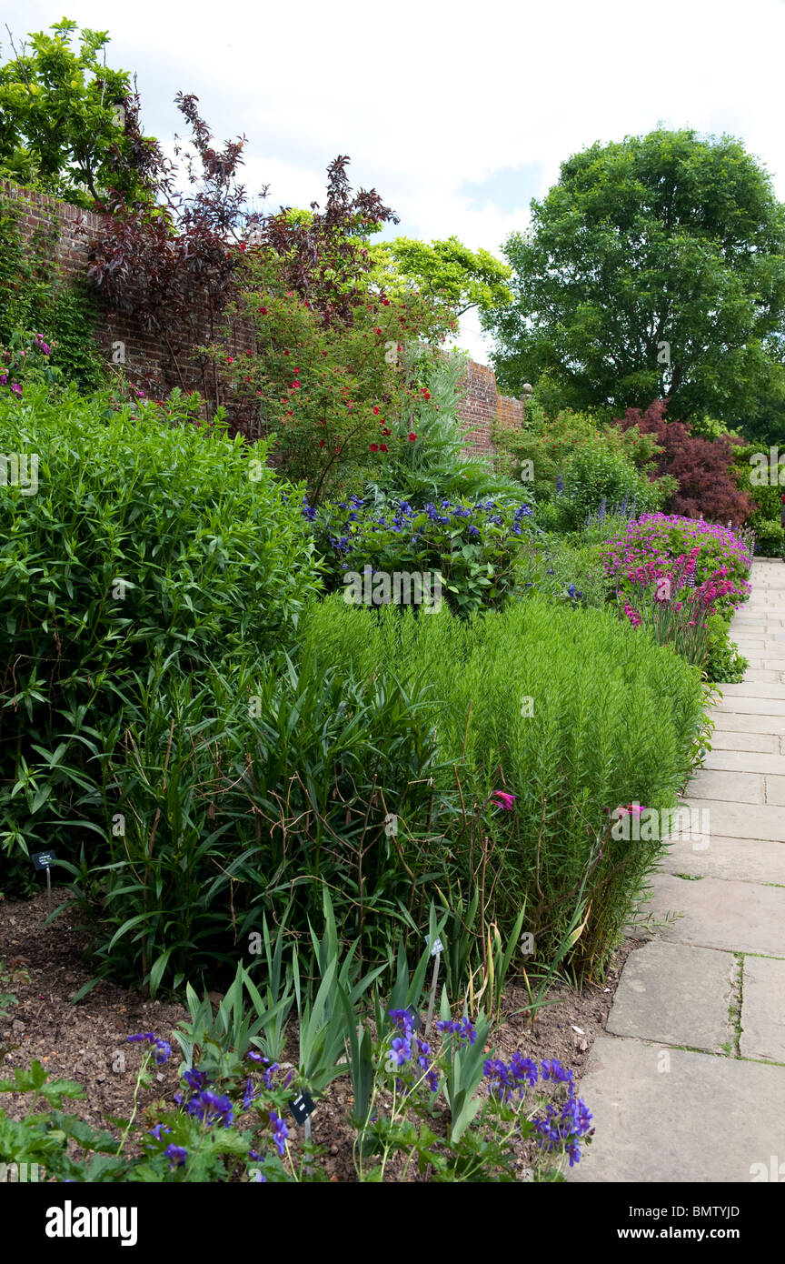 English country garden with  herbaceous perennial displays of flowers Stock Photo