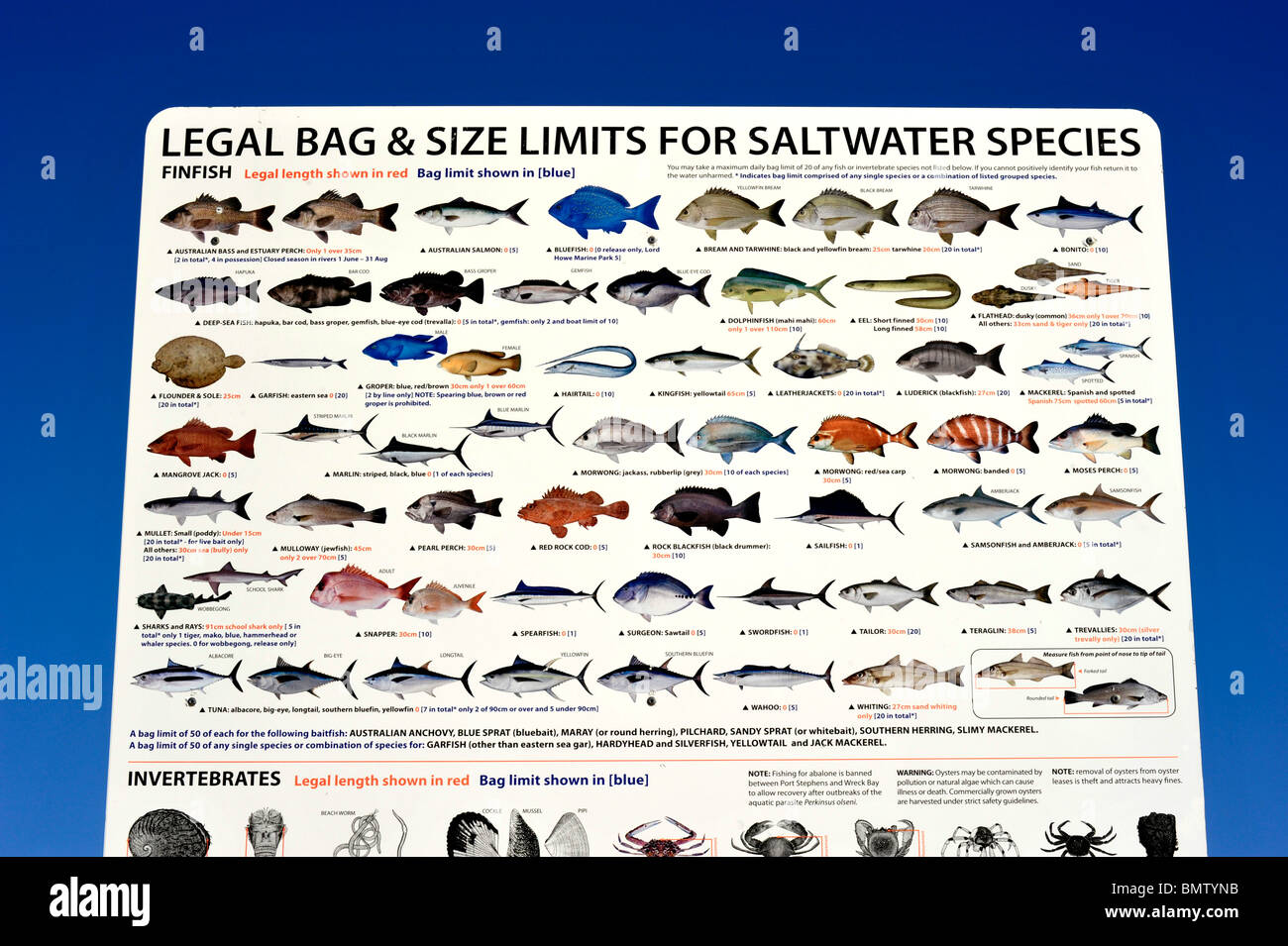 A Sign Displays Bag Limits For Some Of The Fish That Can Be Caught Off a-sign-displays-bag-limits-for-some-of-the-fish-that-can-be-caught-off