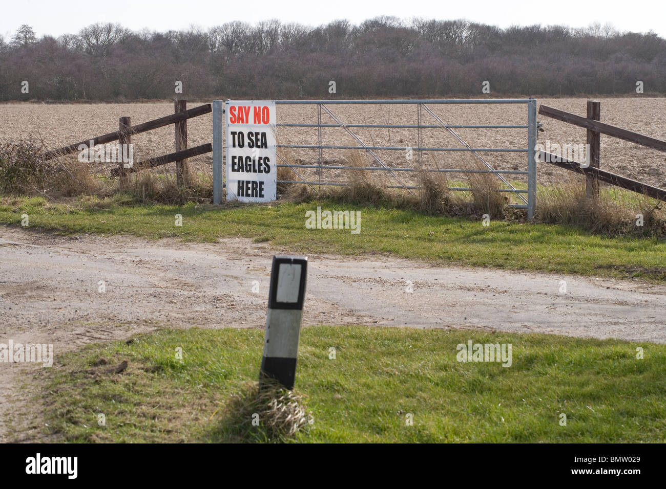 Protest sign against a proposed re-introduction of Sea Eagles on farm gate, Waxham, Norfolk, East Anglia. England, by Natural England, RSPB. Stock Photo