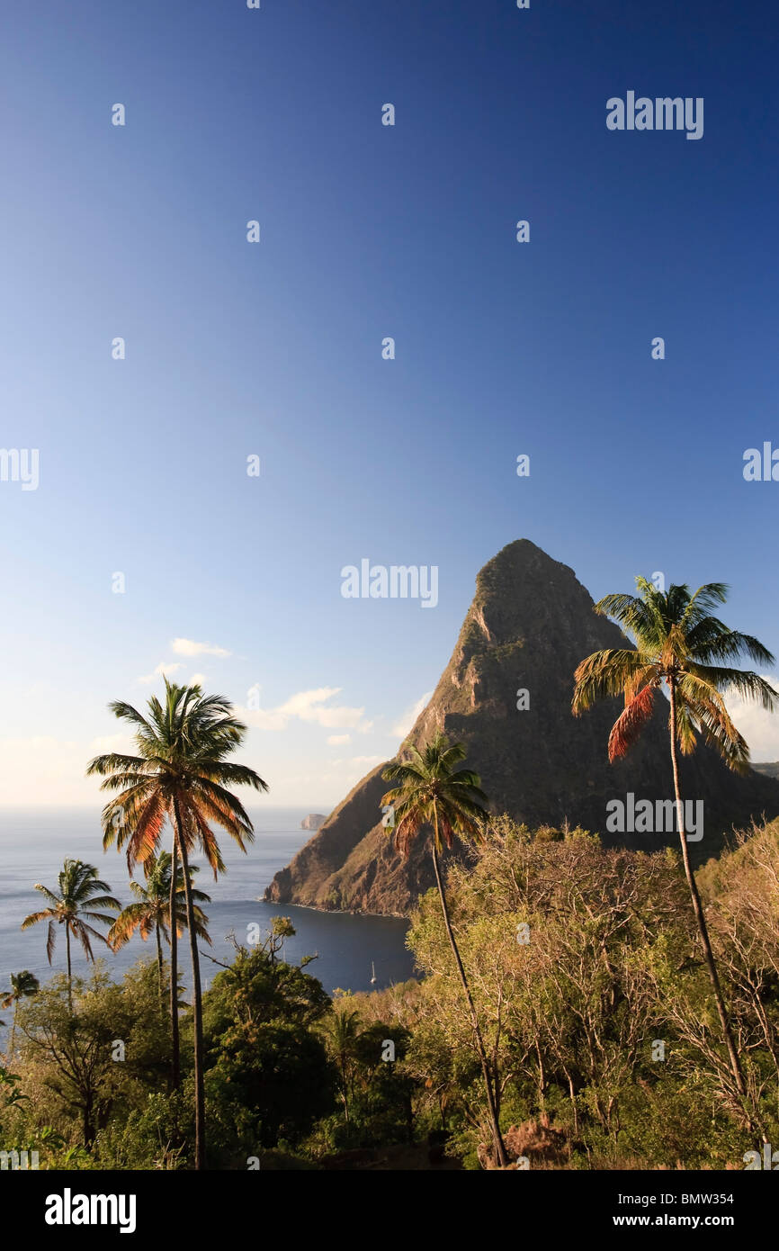 Caribbean, St Lucia, Petit Piton, (UNESCO World Heritage Site) and Anse