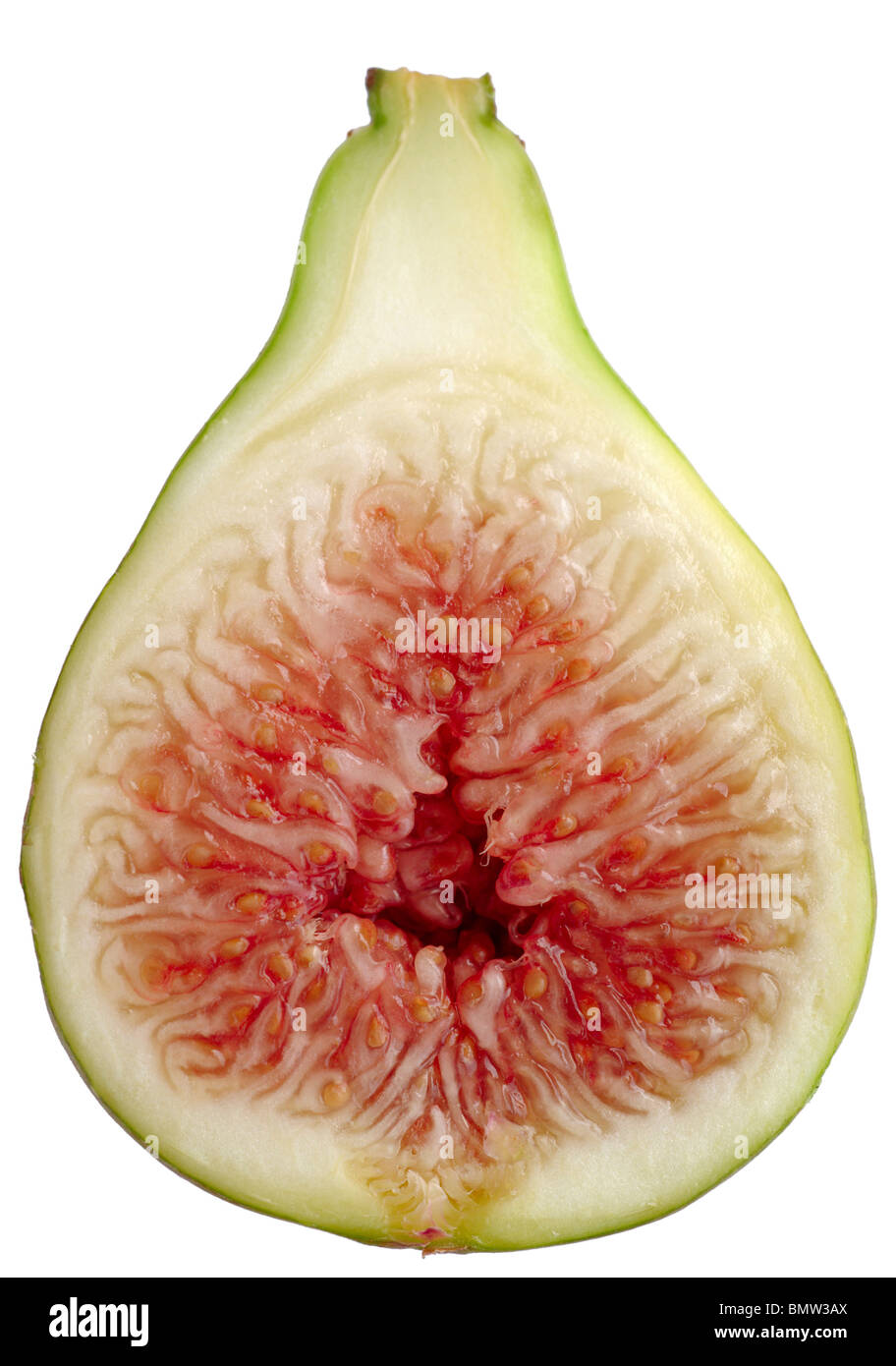 Close up of fig cut in half showing the edible red fruit. Stock Photo