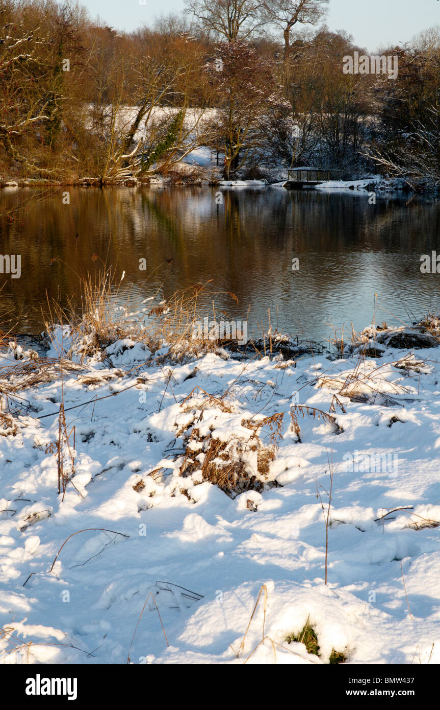 A view of a lake in winter with snow Stock Photo - Alamy