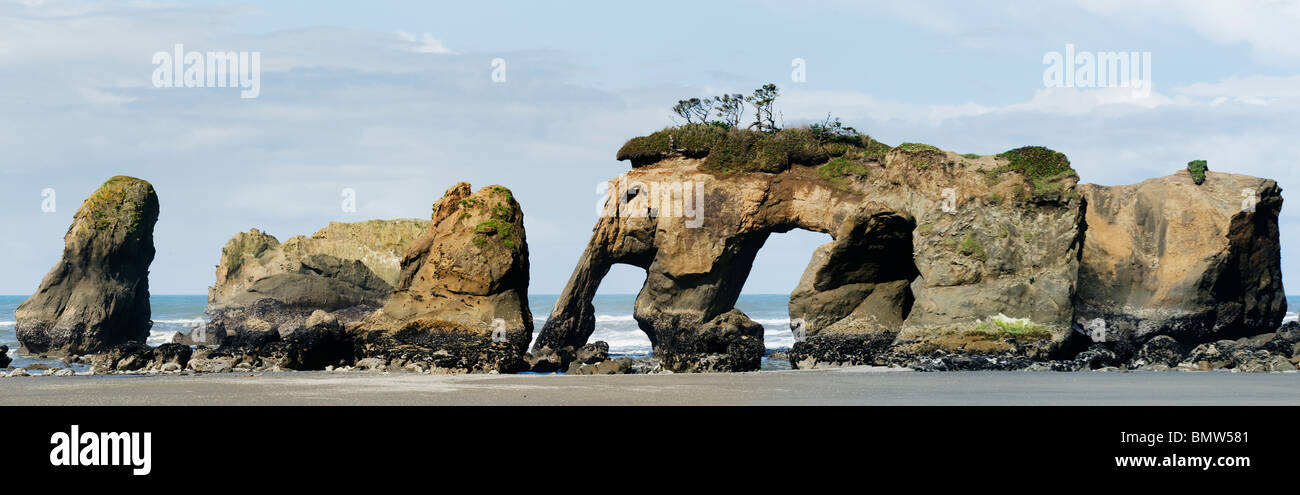 Elephant Rock and Seastacks, Quinault Indian Reservation, Washington, Pacific Coast USA - Panoramic - Note: Taken ca. 2010 - Collapsed in 2016 Stock Photo