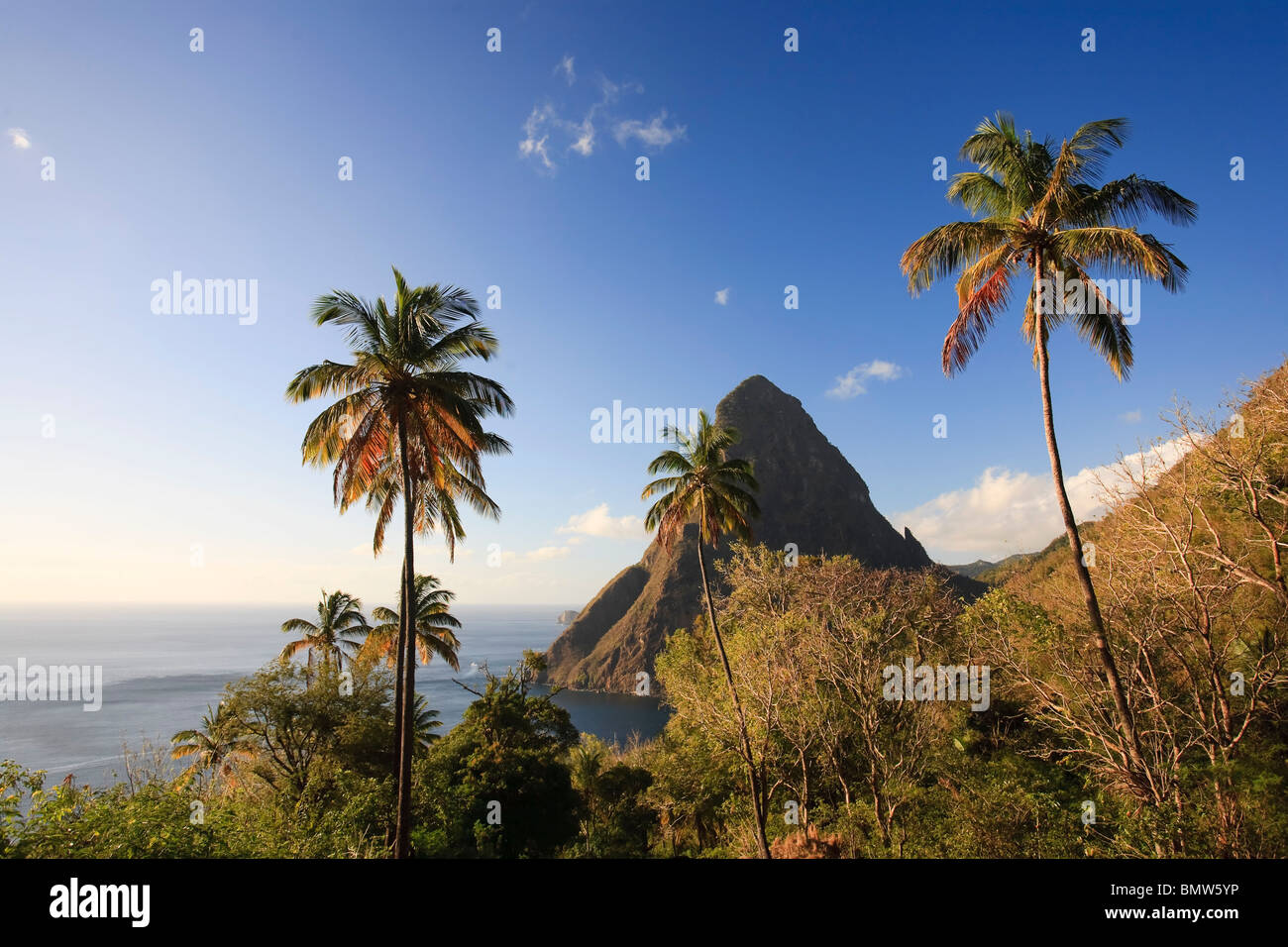 Caribbean, St Lucia, Petit Piton, (UNESCO World Heritage Site) and Anse