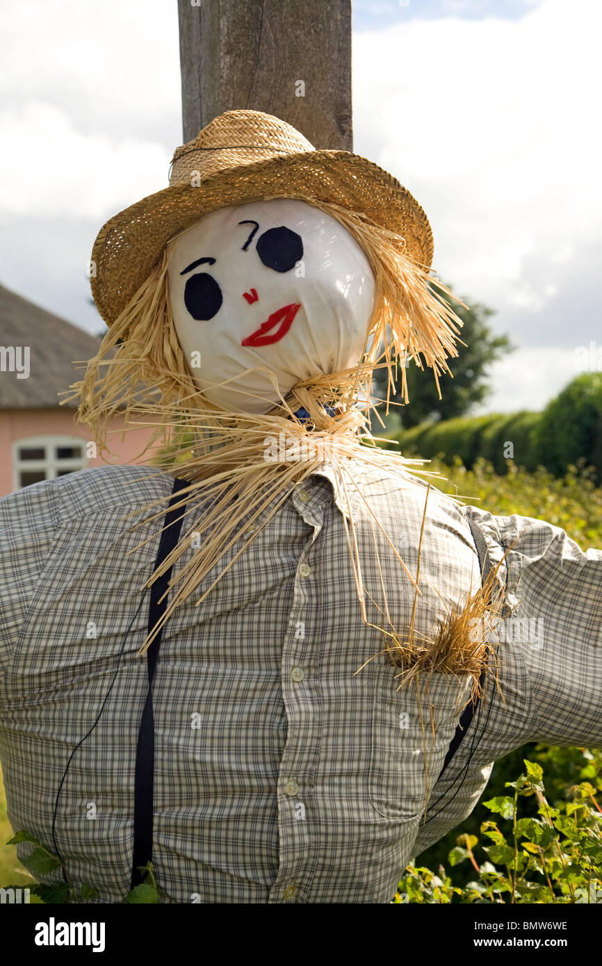 Scarecrow Stock Photo Alamy Scarecrow Stock Photo Alamy