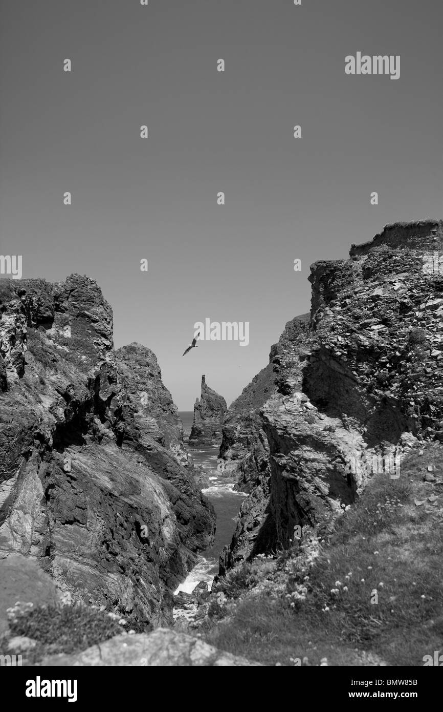 South west coast path coastal Black and White Stock Photos & Images - Alamy