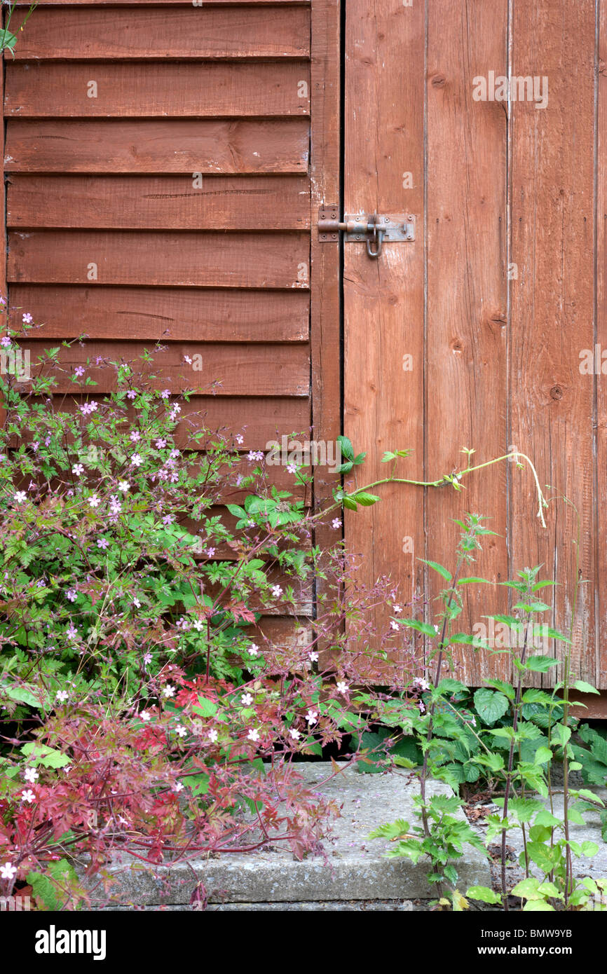 Untidy Back garden, Ireland Stock Photo