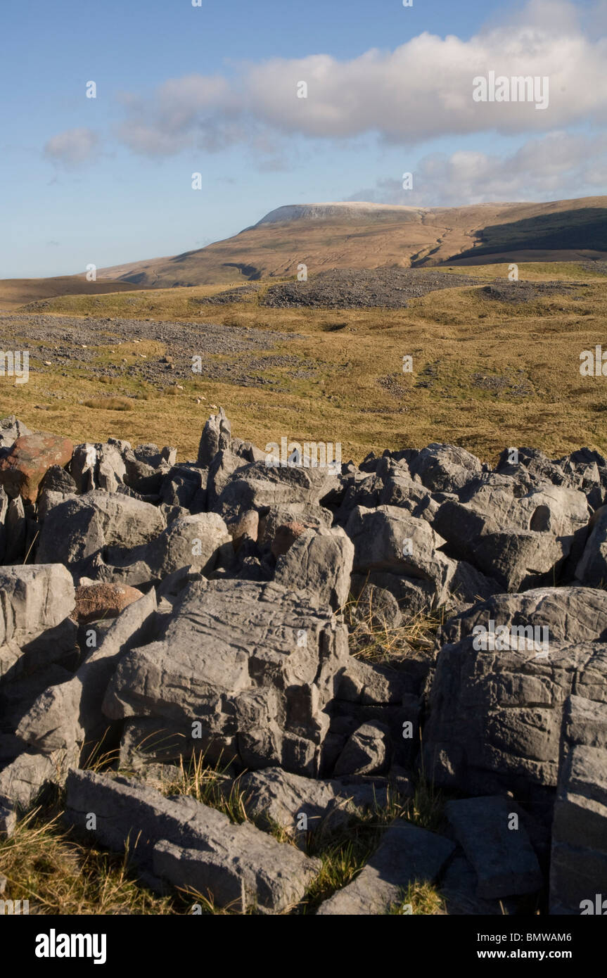 Limestone karst scenery, Mynydd Du, Black Mountain, Brecon Beacons National Park, Wales, UK, Europe Stock Photo
