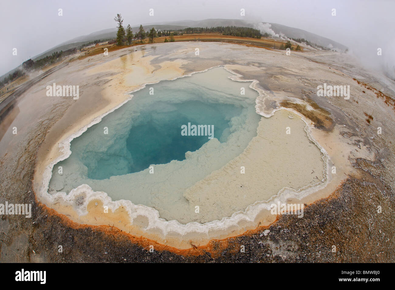 Geyser from Yellowstone National Park Stock Photo