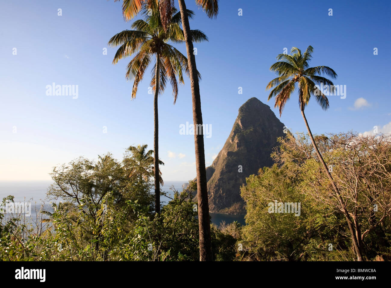 Caribbean, St Lucia, Petit Piton, (UNESCO World Heritage Site) and Anse