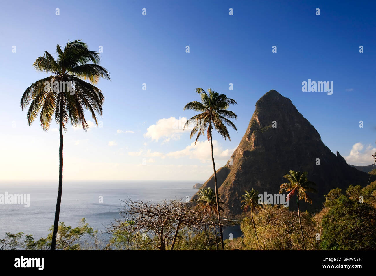 Caribbean, St Lucia, Petit Piton, (UNESCO World Heritage Site) and Anse