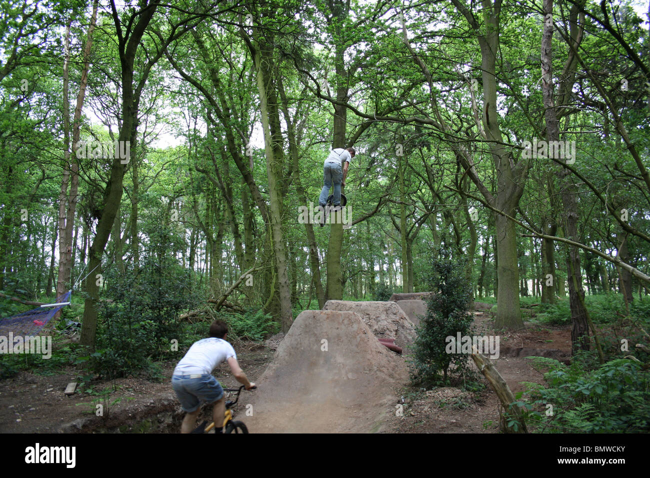 A awesome day Dirt Jumping BMX Bikes at Verns Wood Stock Photo Alamy