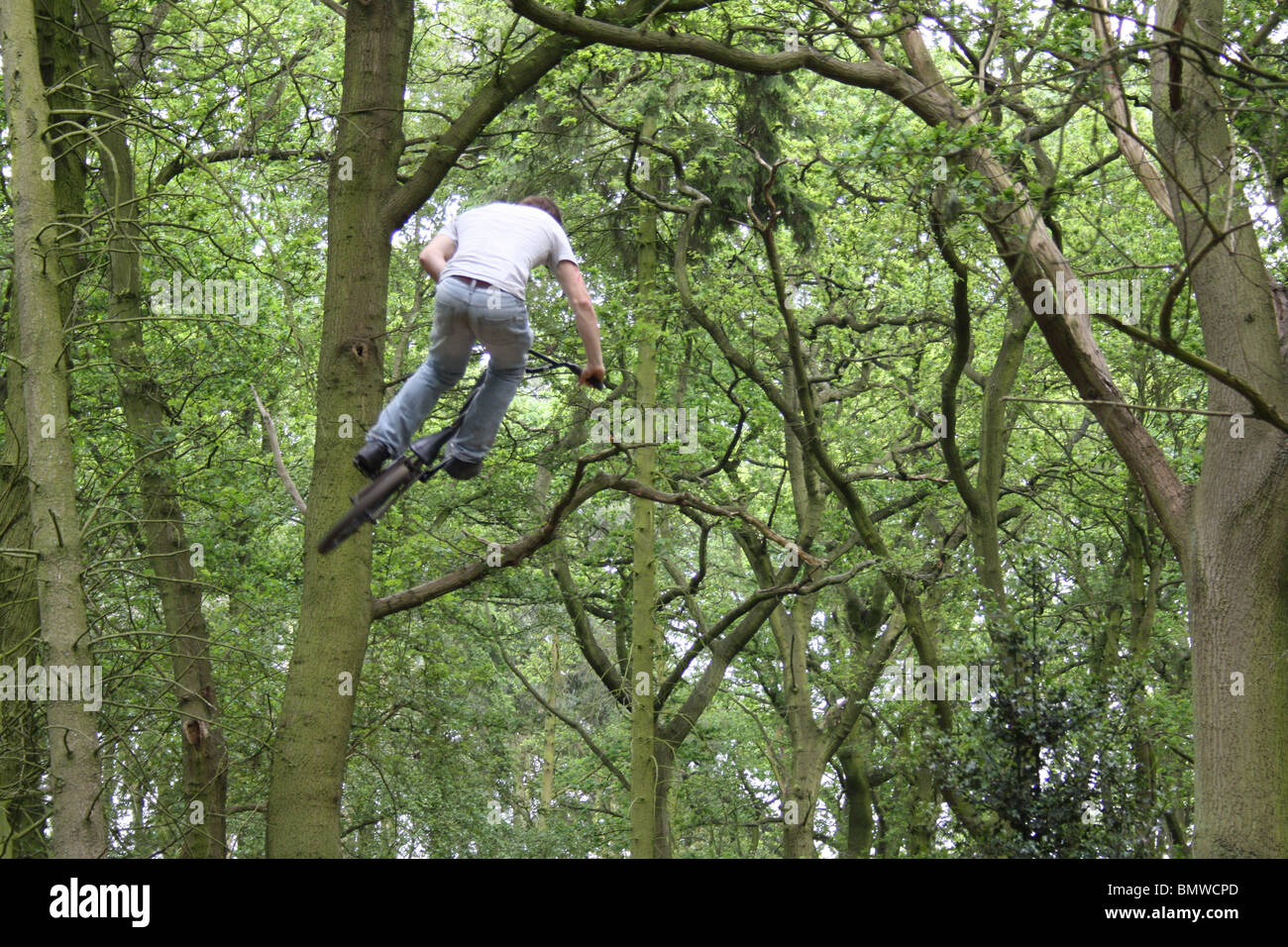 A awesome day Dirt Jumping BMX Bikes at Verns Wood Stock Photo Alamy