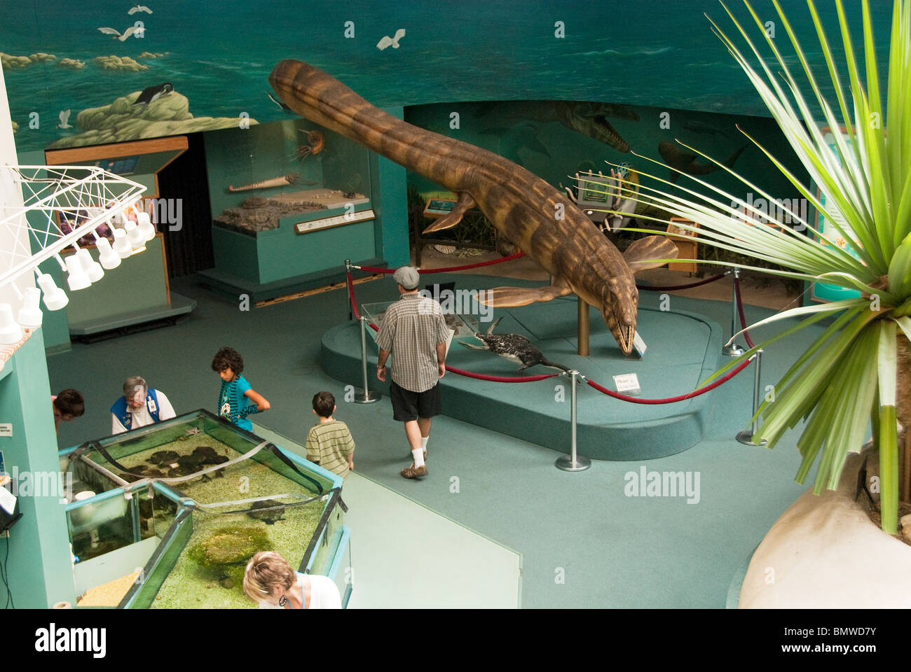 Dinosaur Exhibit at Museum of Natural History & Science Albuquerque New