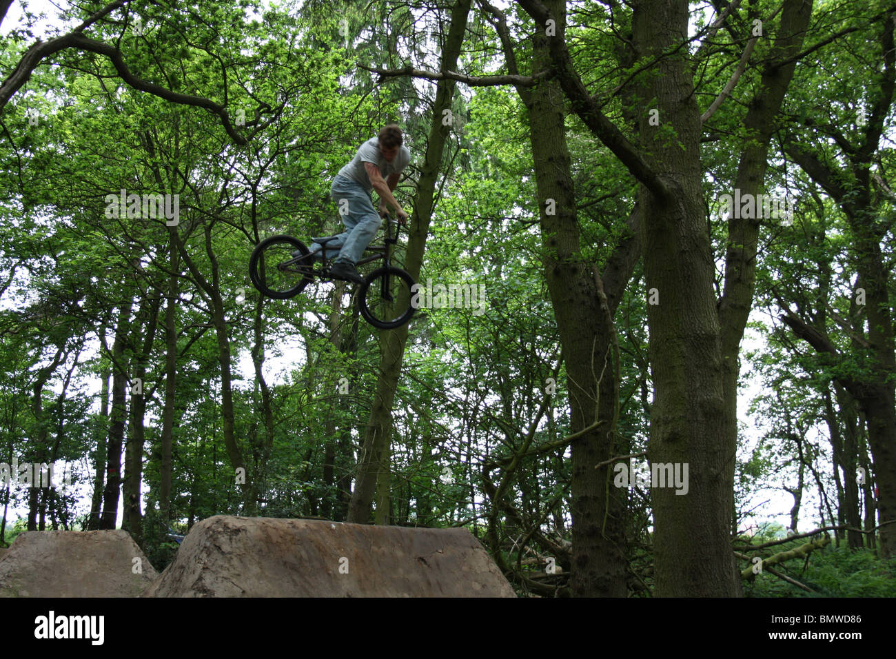 A awesome day Dirt Jumping BMX Bikes at Verns Wood Stock Photo Alamy