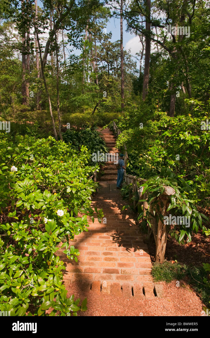 Texas, Houston, Bayou Bend Collection and Gardens, estate of Miss Ima Hogg, White Garden MR Stock Photo
