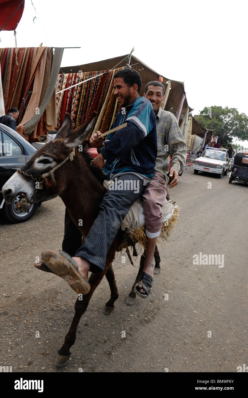 two boys riding donkey, souk goma (friday market), street market, Southern Cemeteries, Khalifa district ,cairo Stock Photo