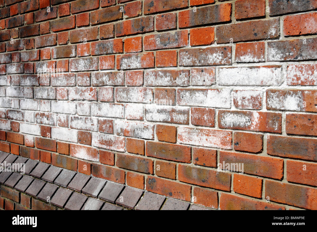 Brick wall outdoor efflorescence white salt powder disfiguring & staining external red brickwork