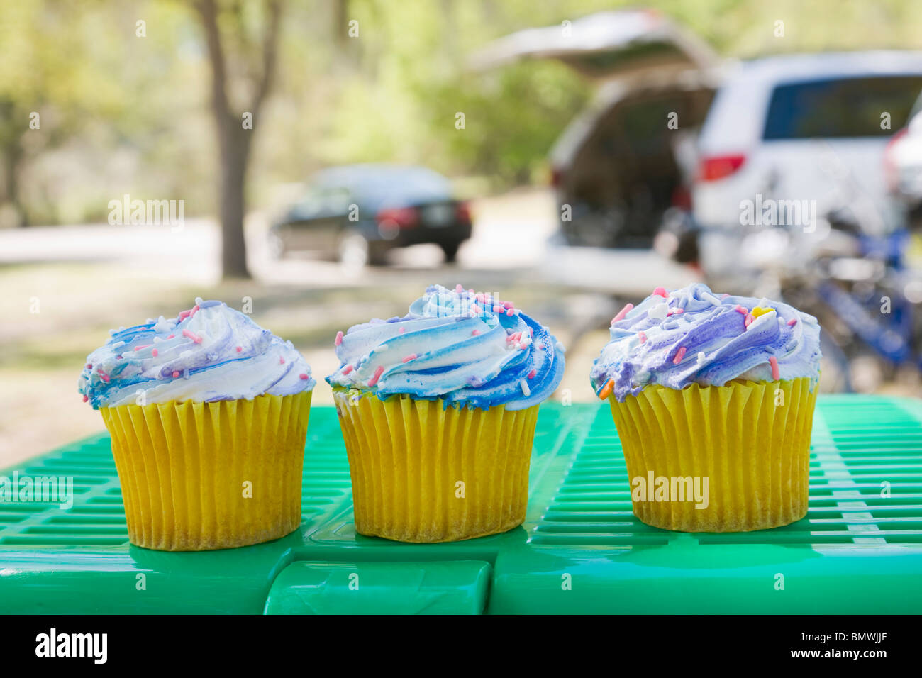 Cupcakes on green basket in a park, Alafya River Park, Florida, USA Stock Photo