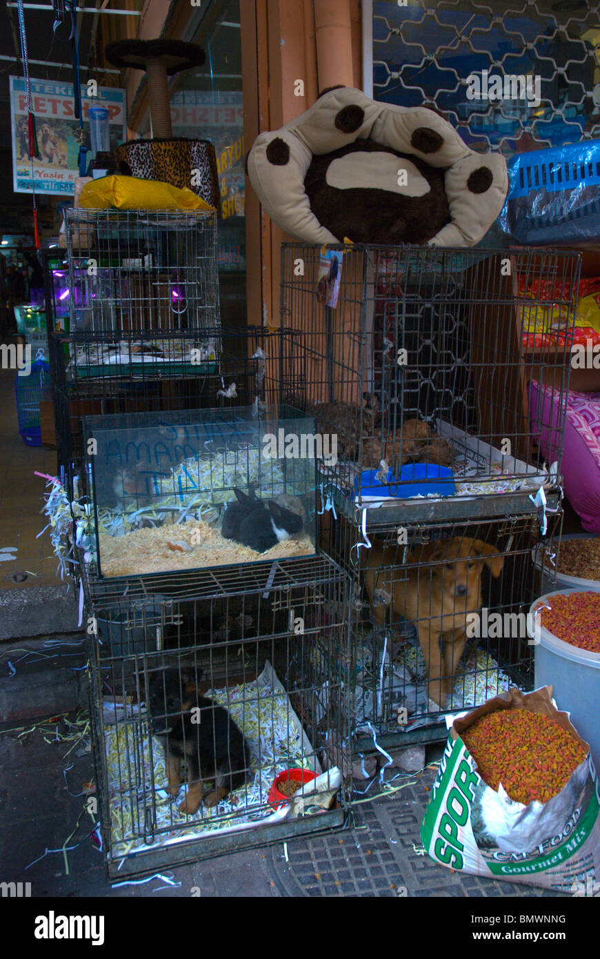 Pet shop exterior Antalya Mediterranean coast Turkey Asia Stock Photo -  Alamy